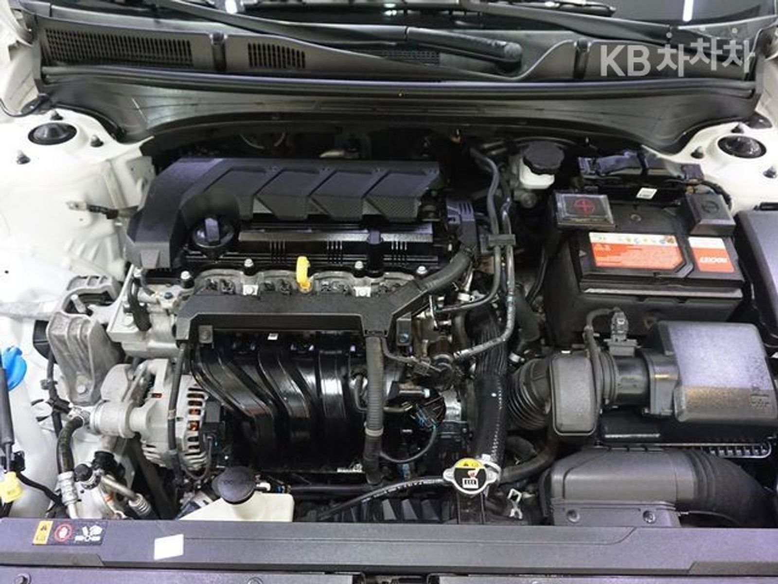 Image 5