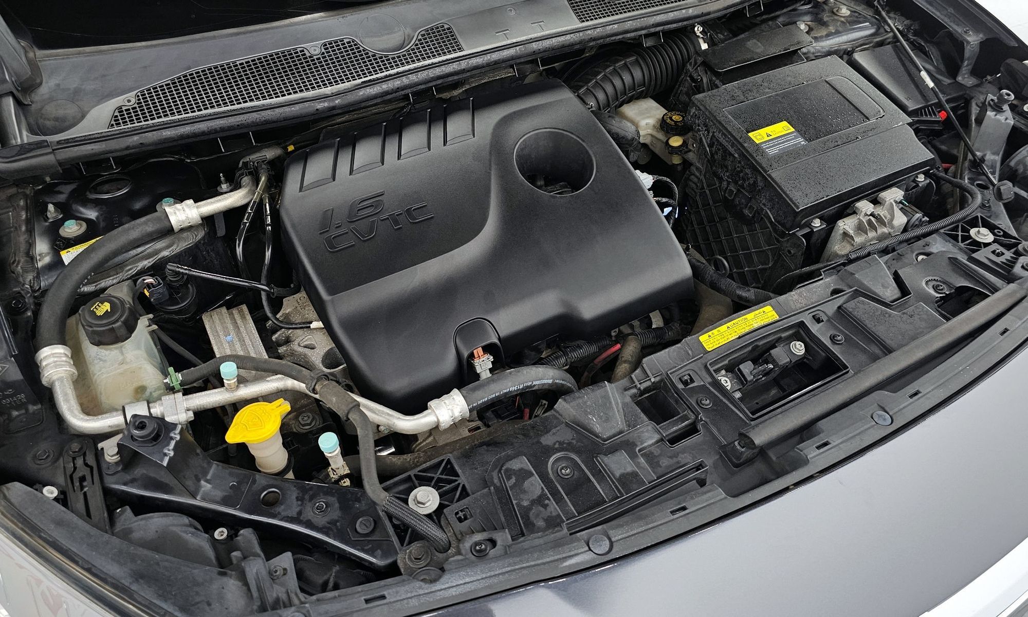 Image 5