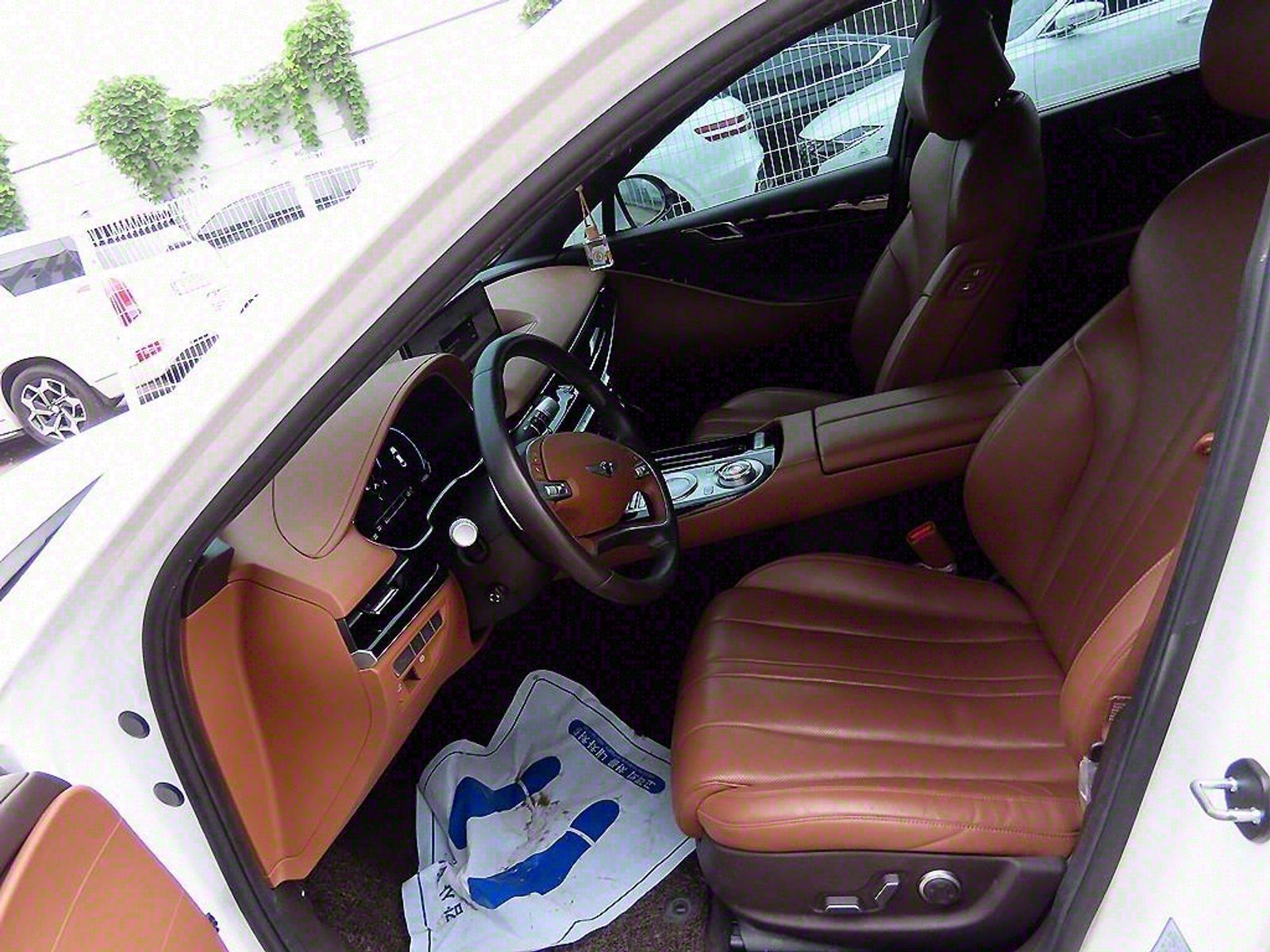 Image 4