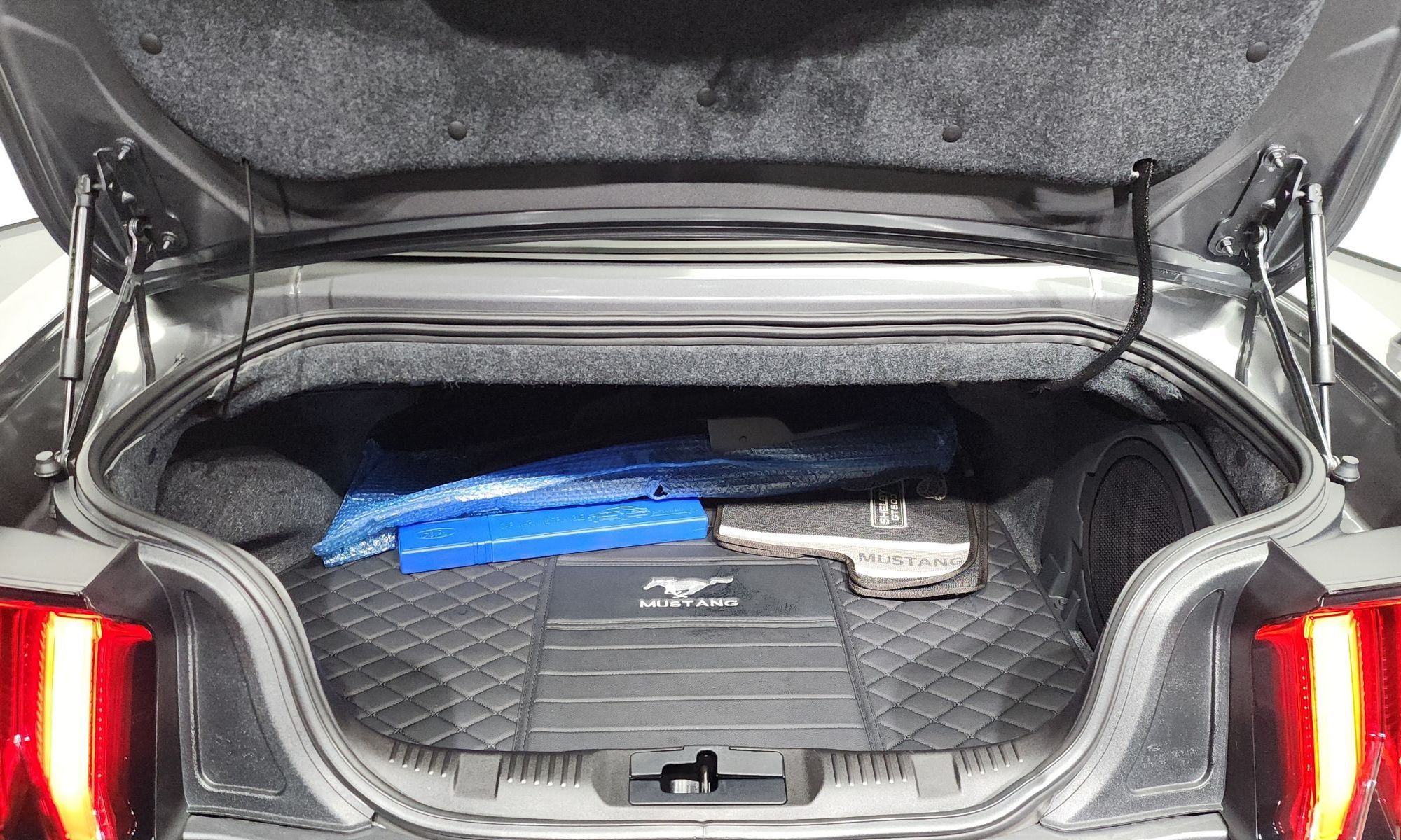 Image 19