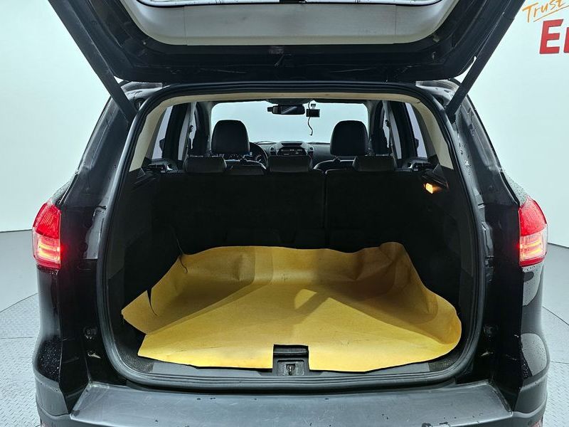 Image 19