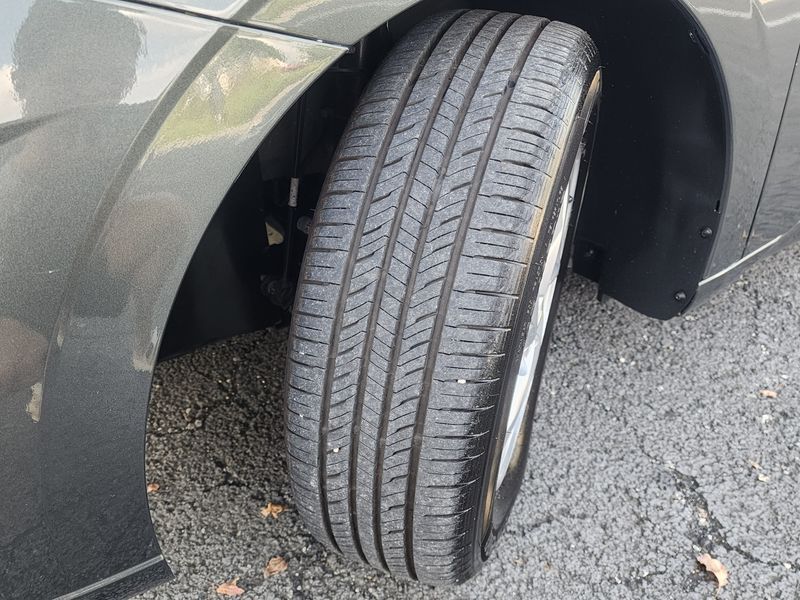 Image 8