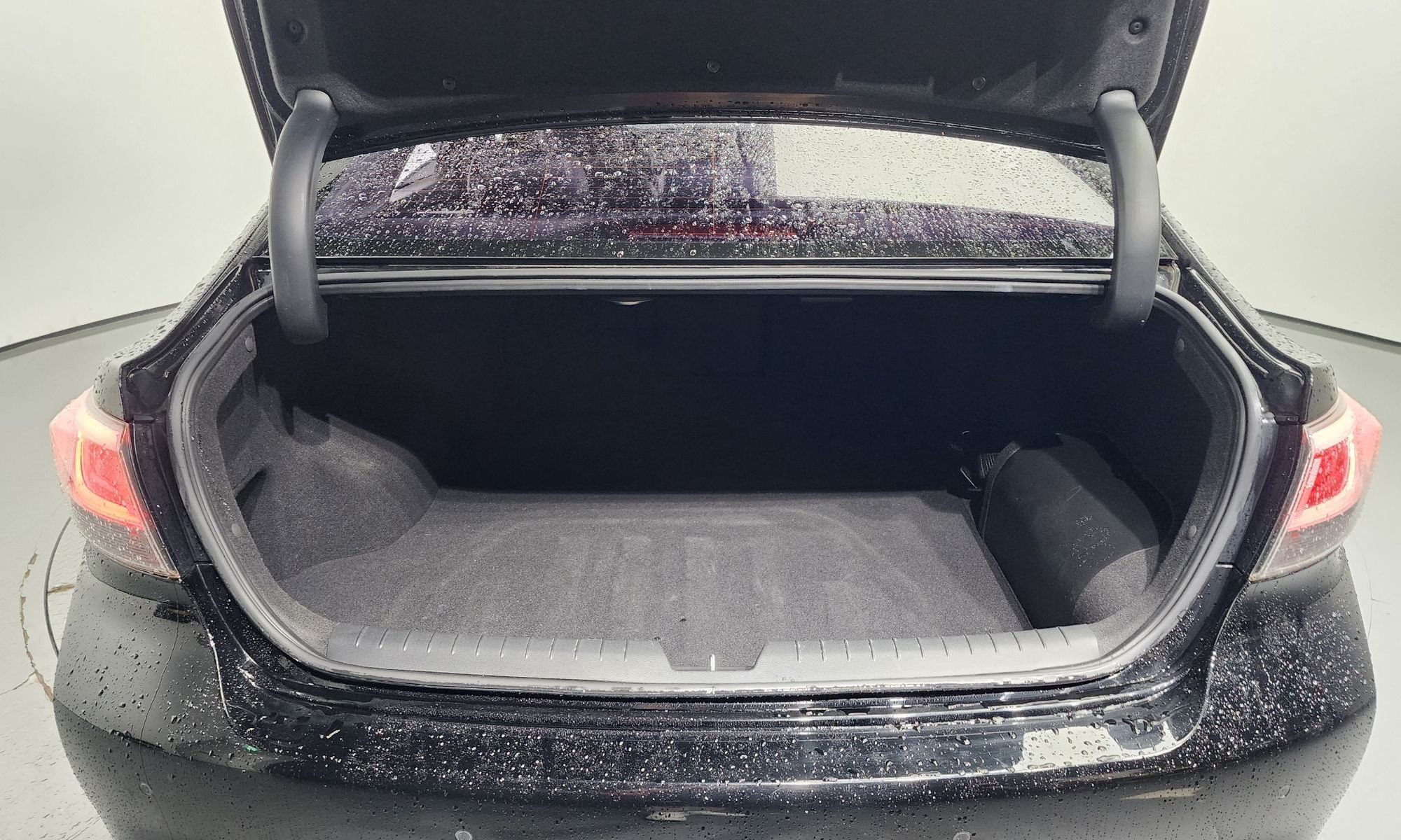 Image 19