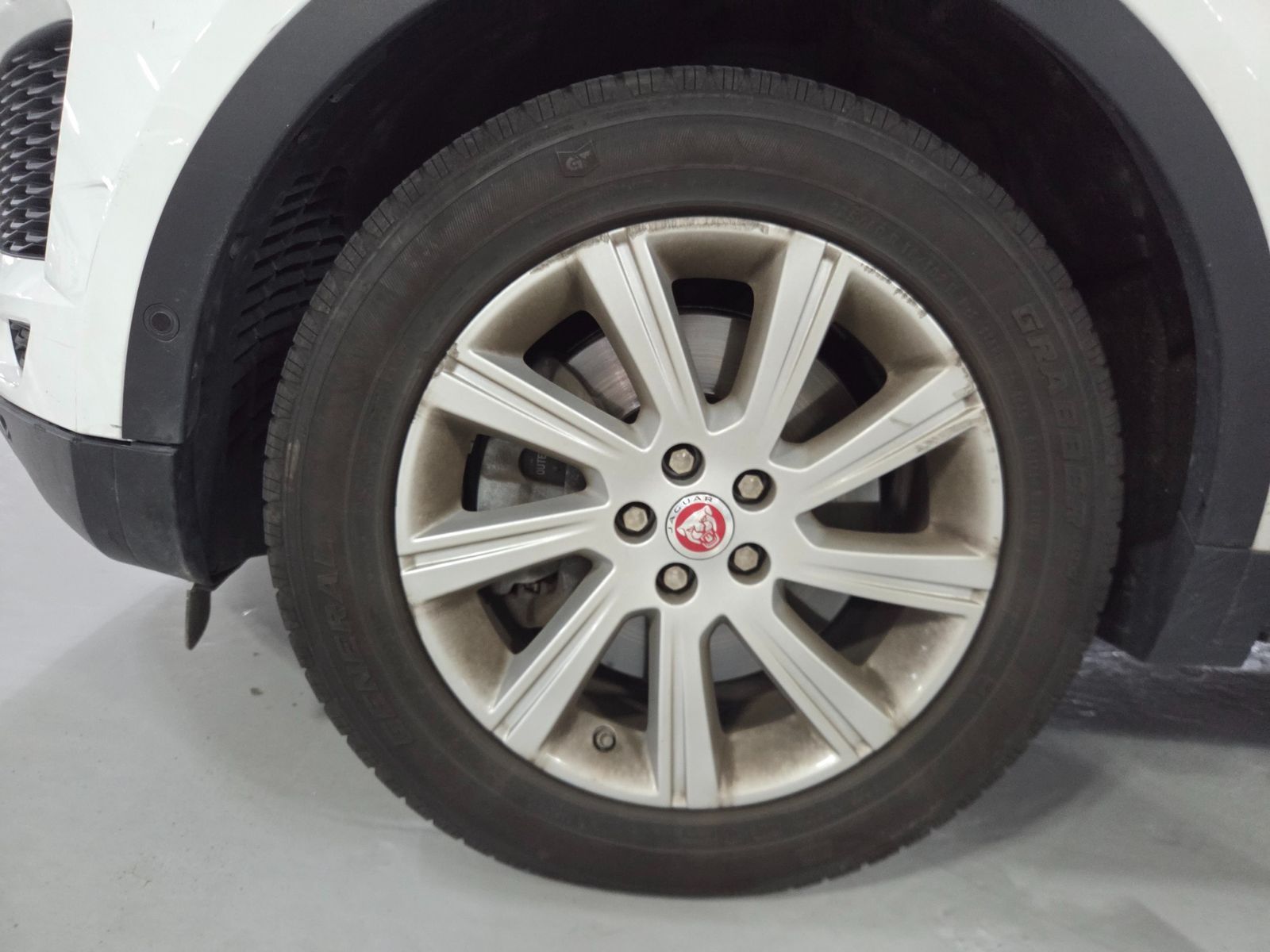 Image 4