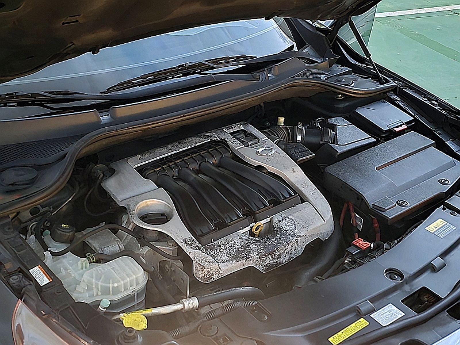 Image 7