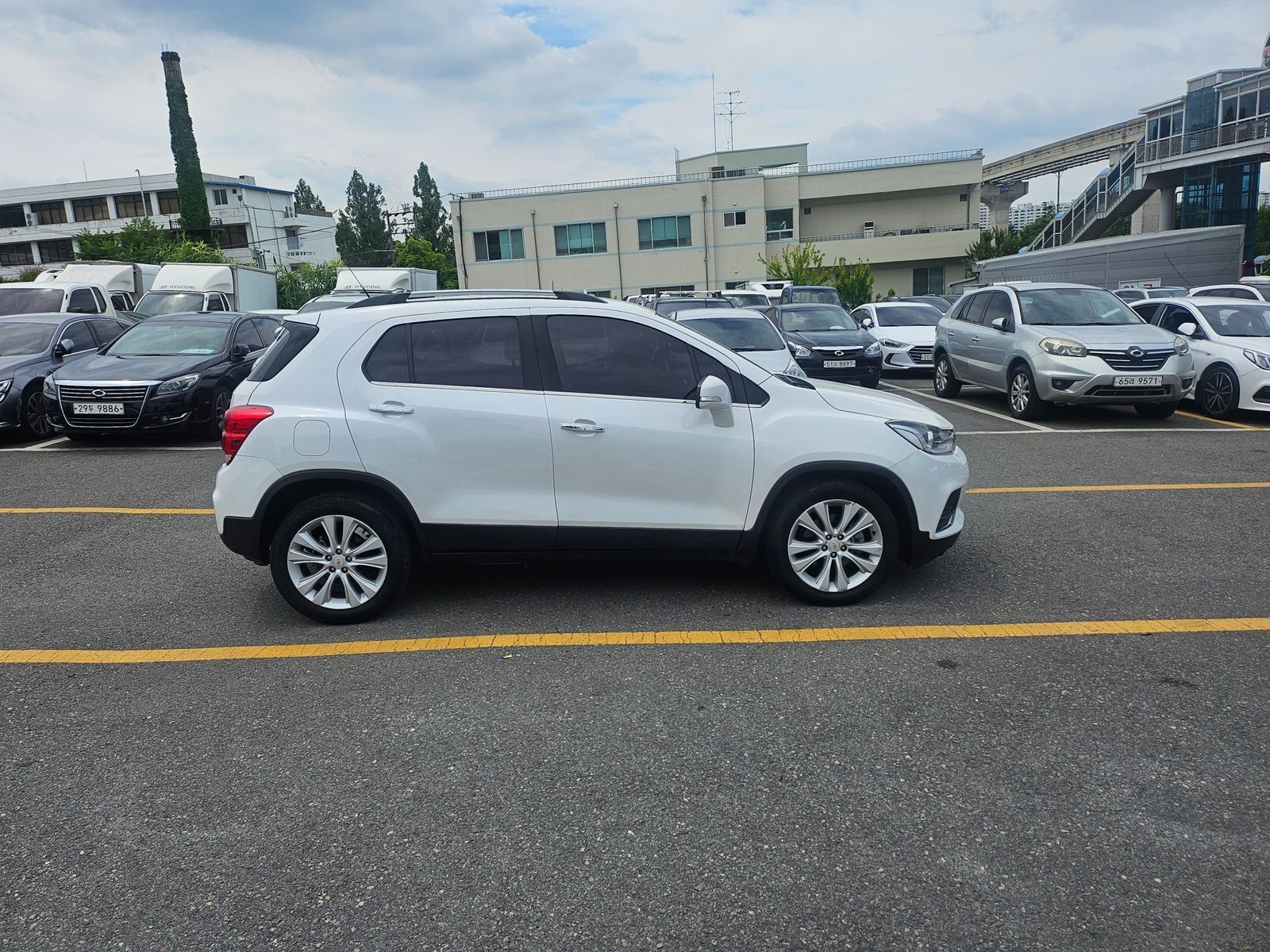 Image 7