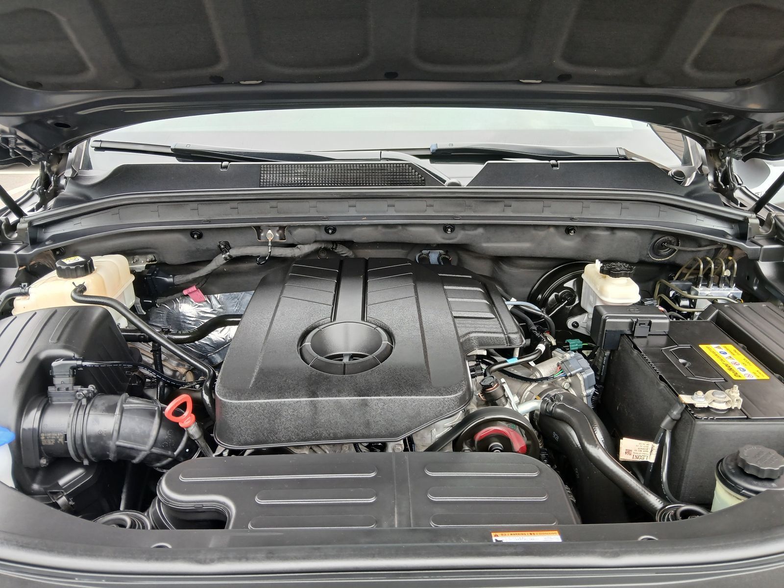 Image 5