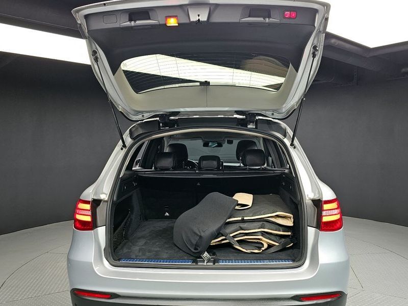 Image 19