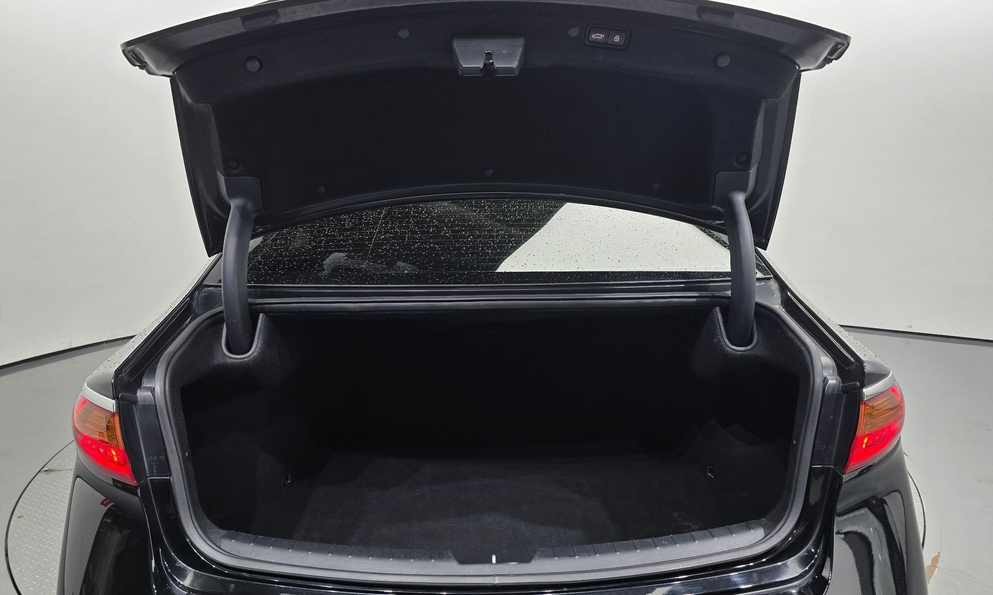Image 19