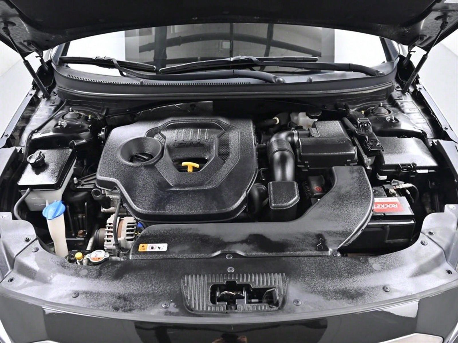 Image 5