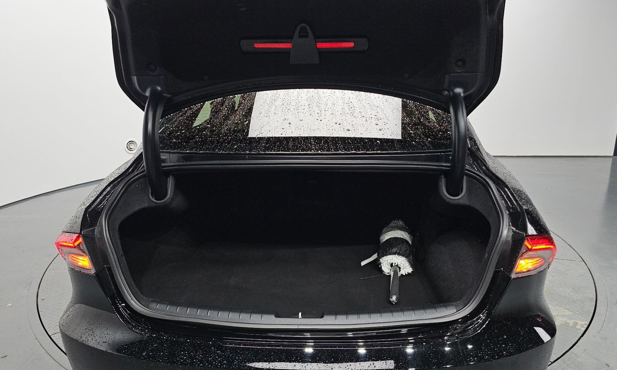 Image 19