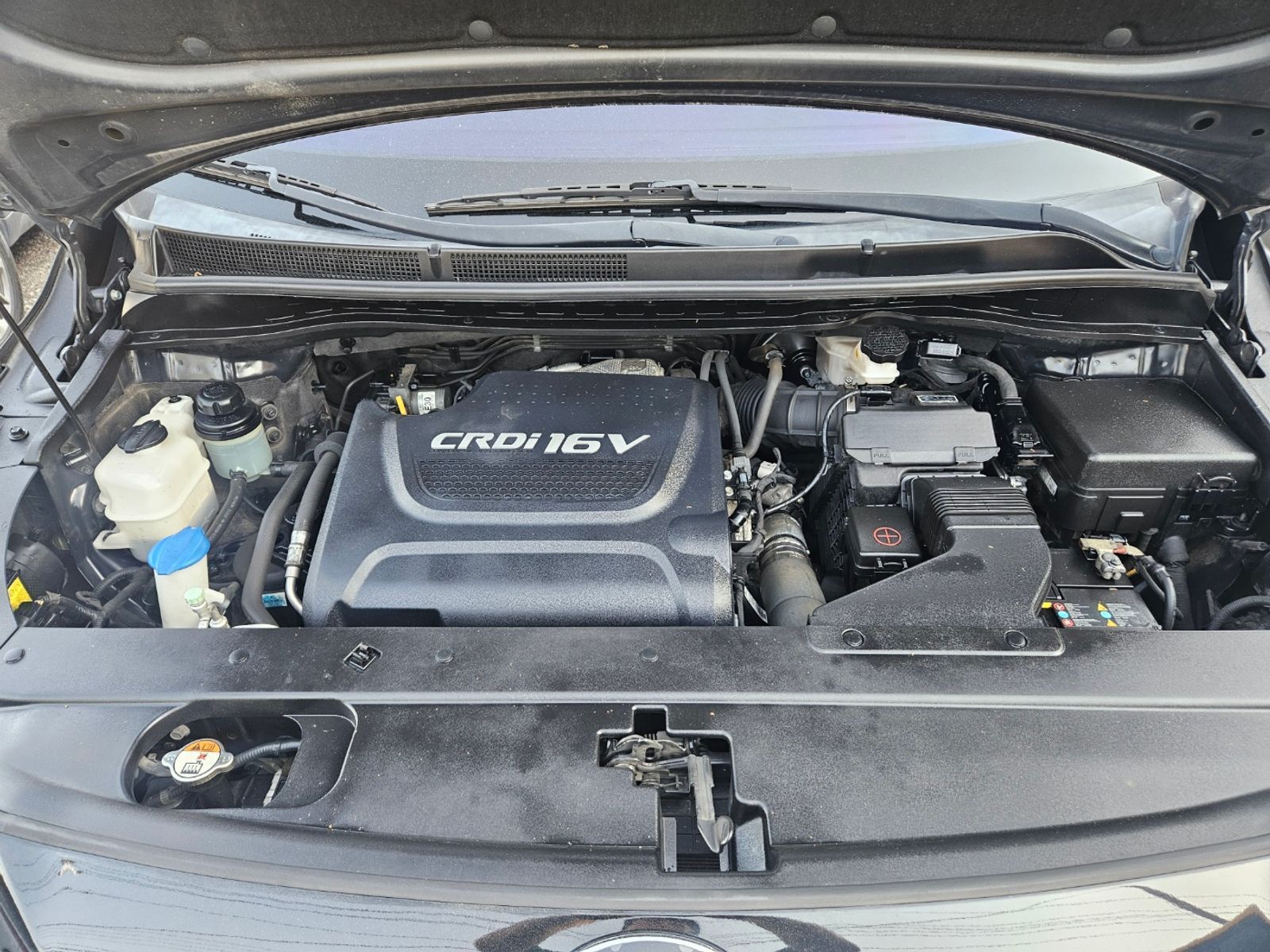 Image 19