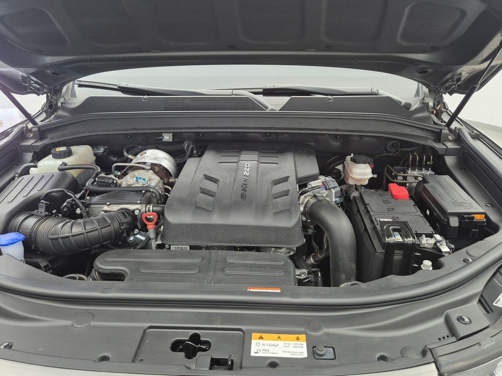 Image 19