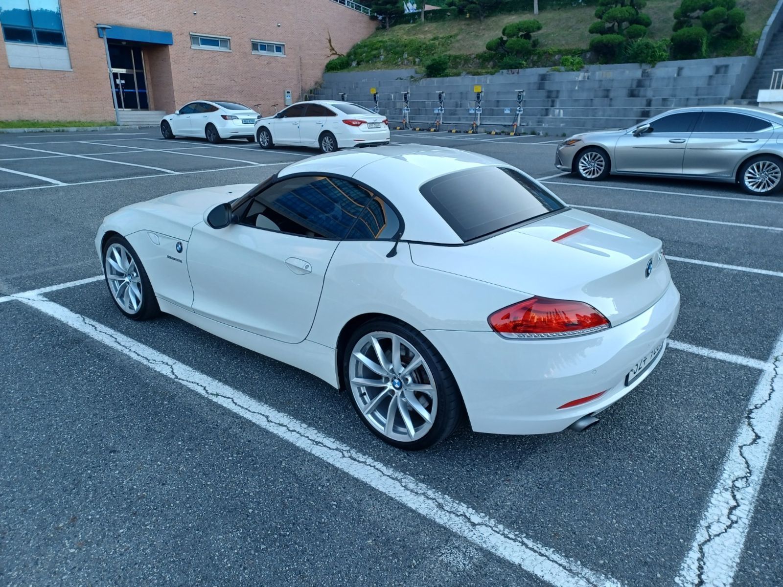 Image 7