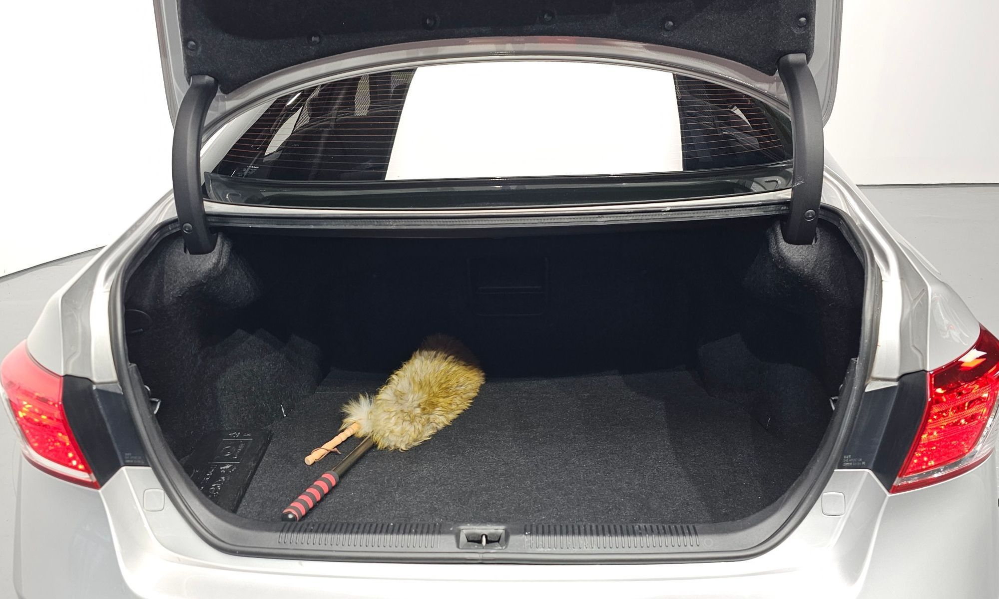 Image 19