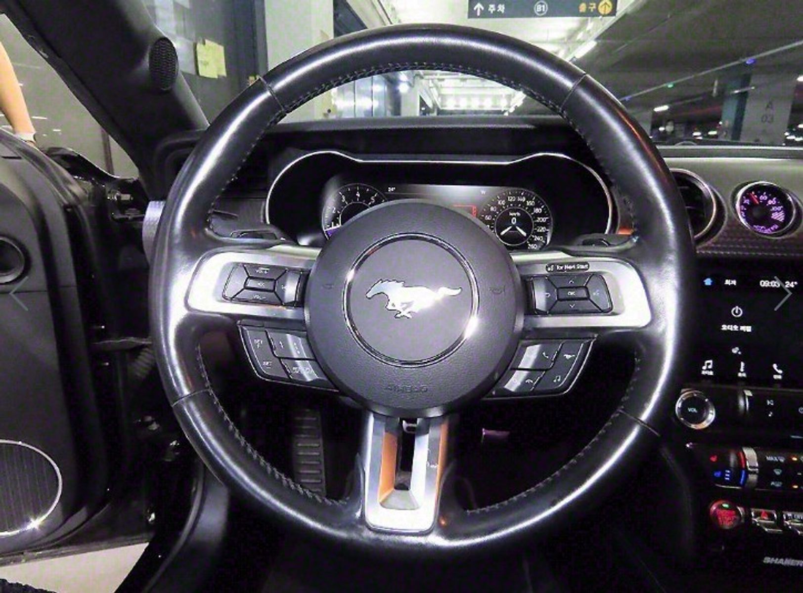 Image 7