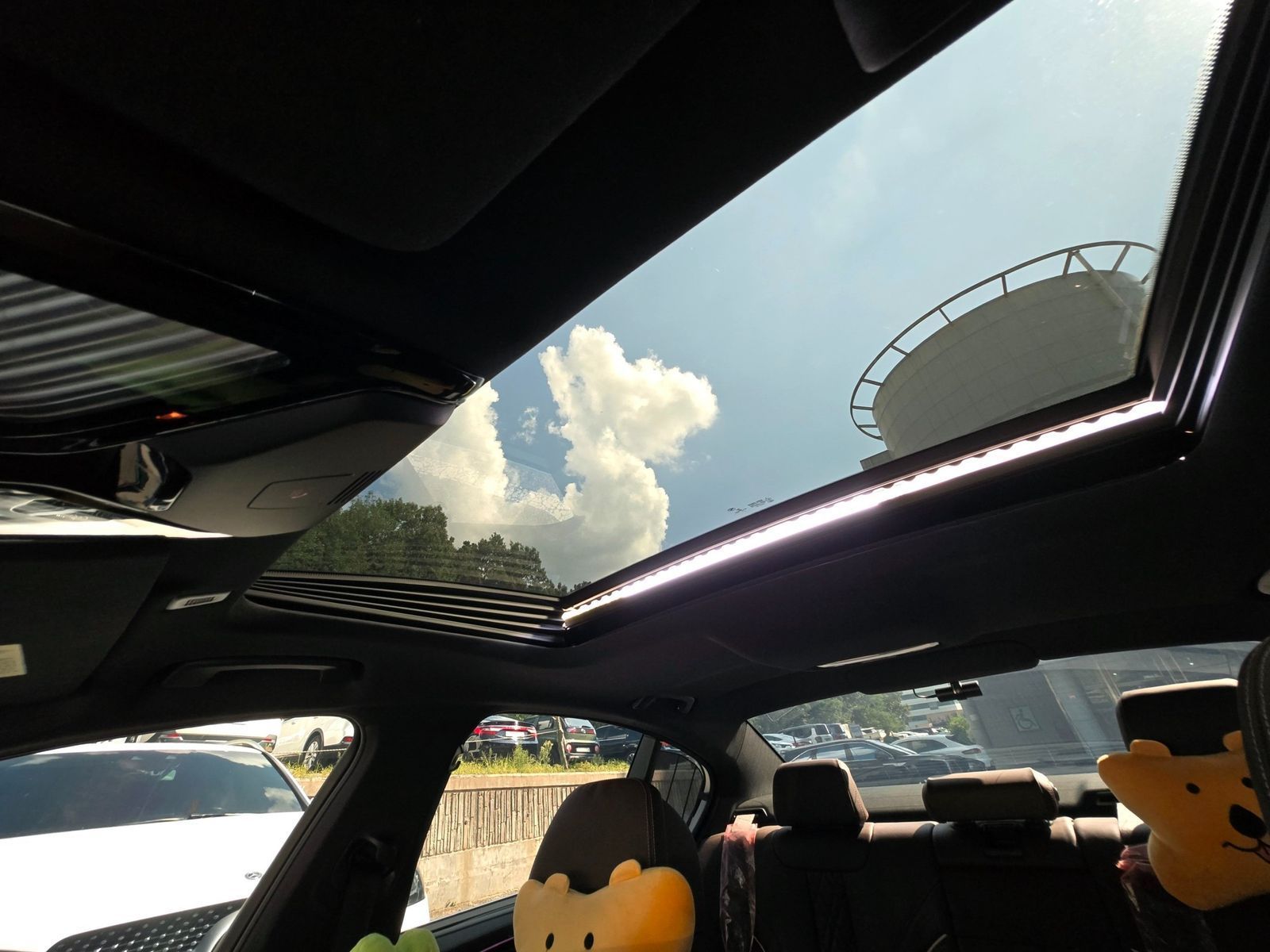 Image 12