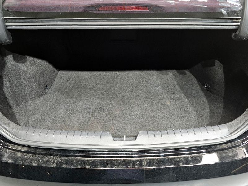Image 19