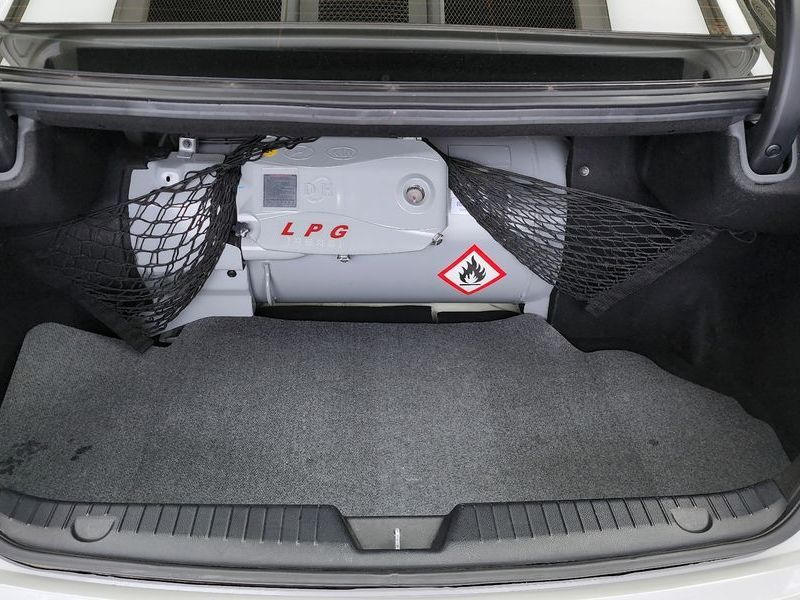 Image 19