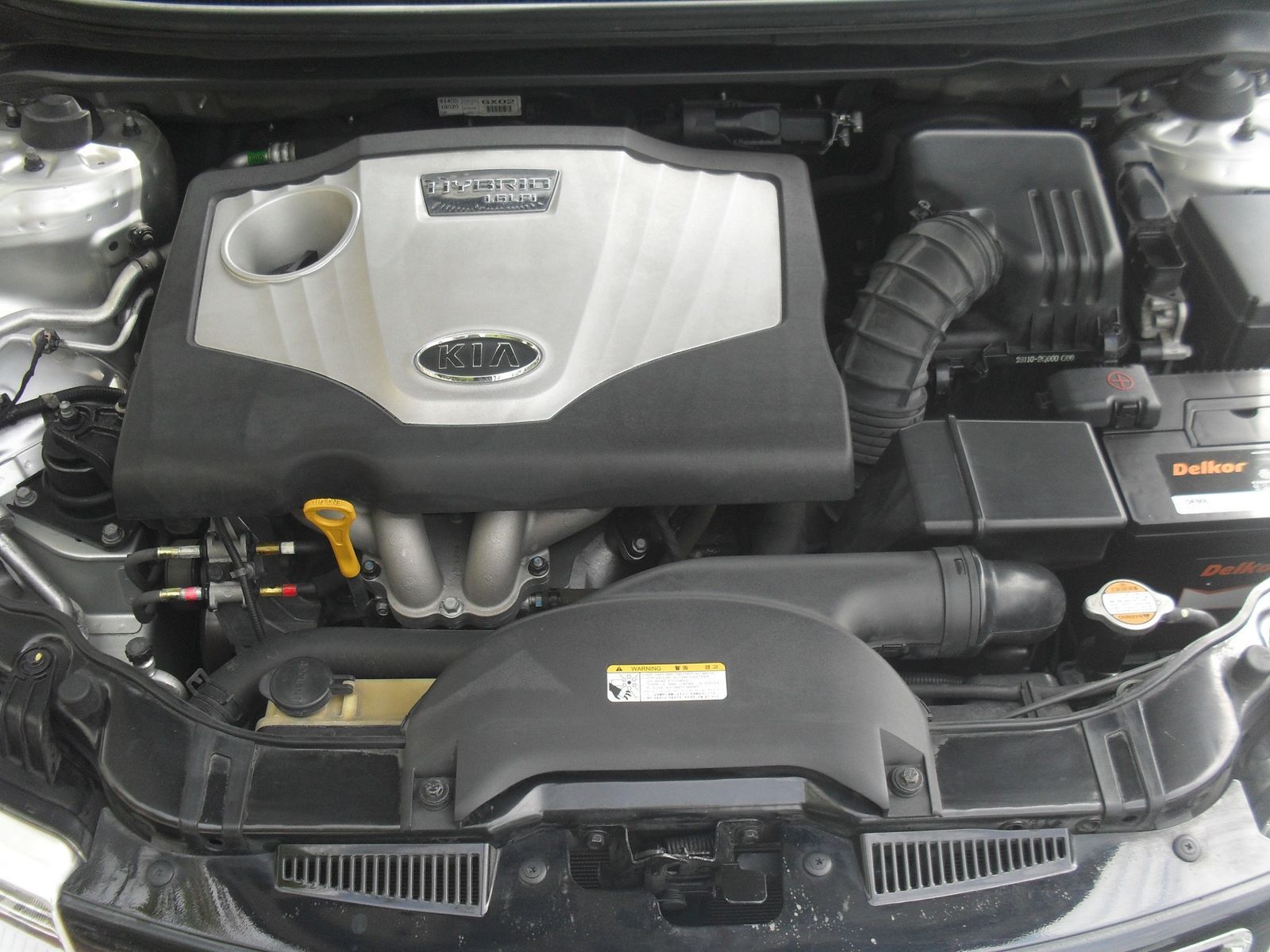 Image 19