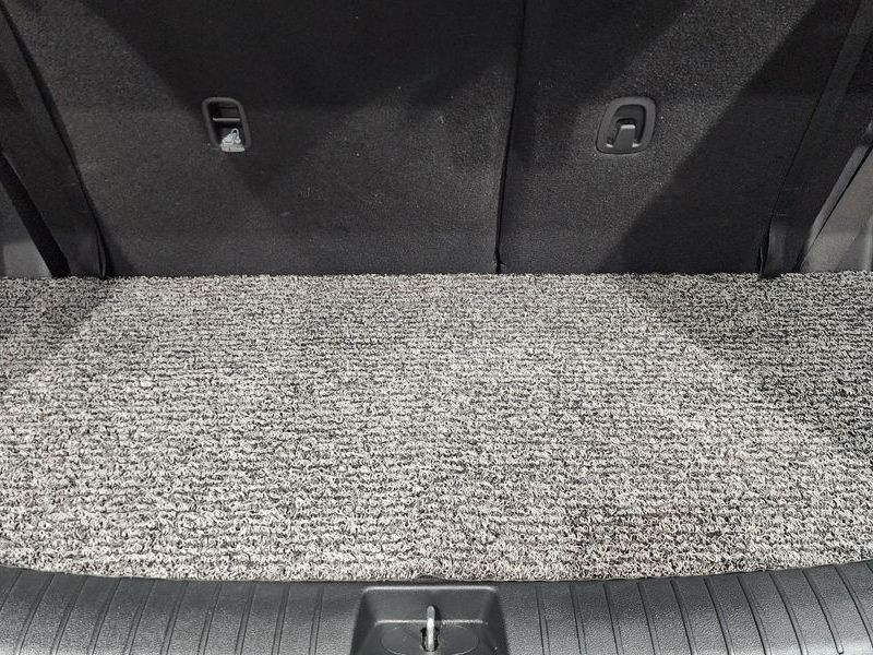 Image 19