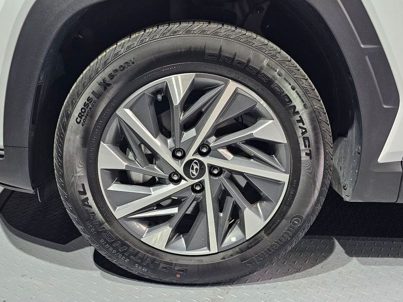 Image 4