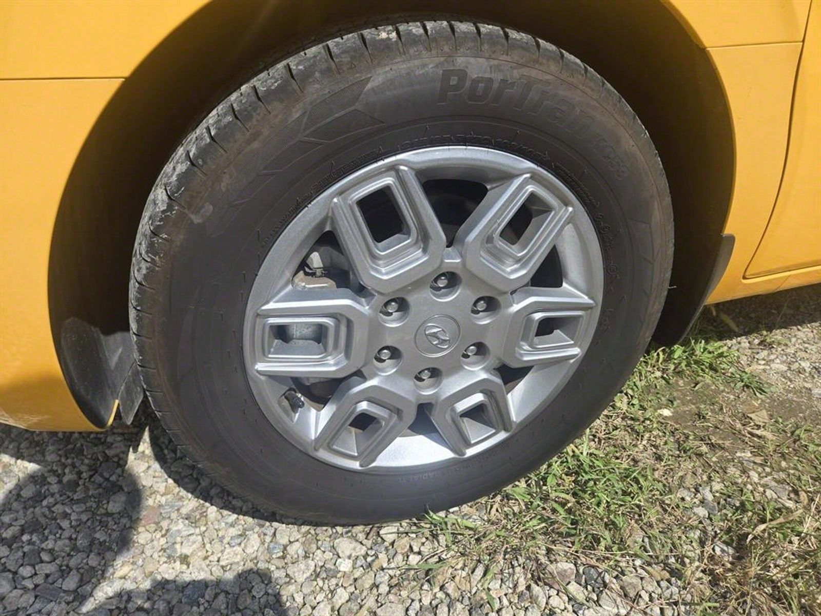 Image 12