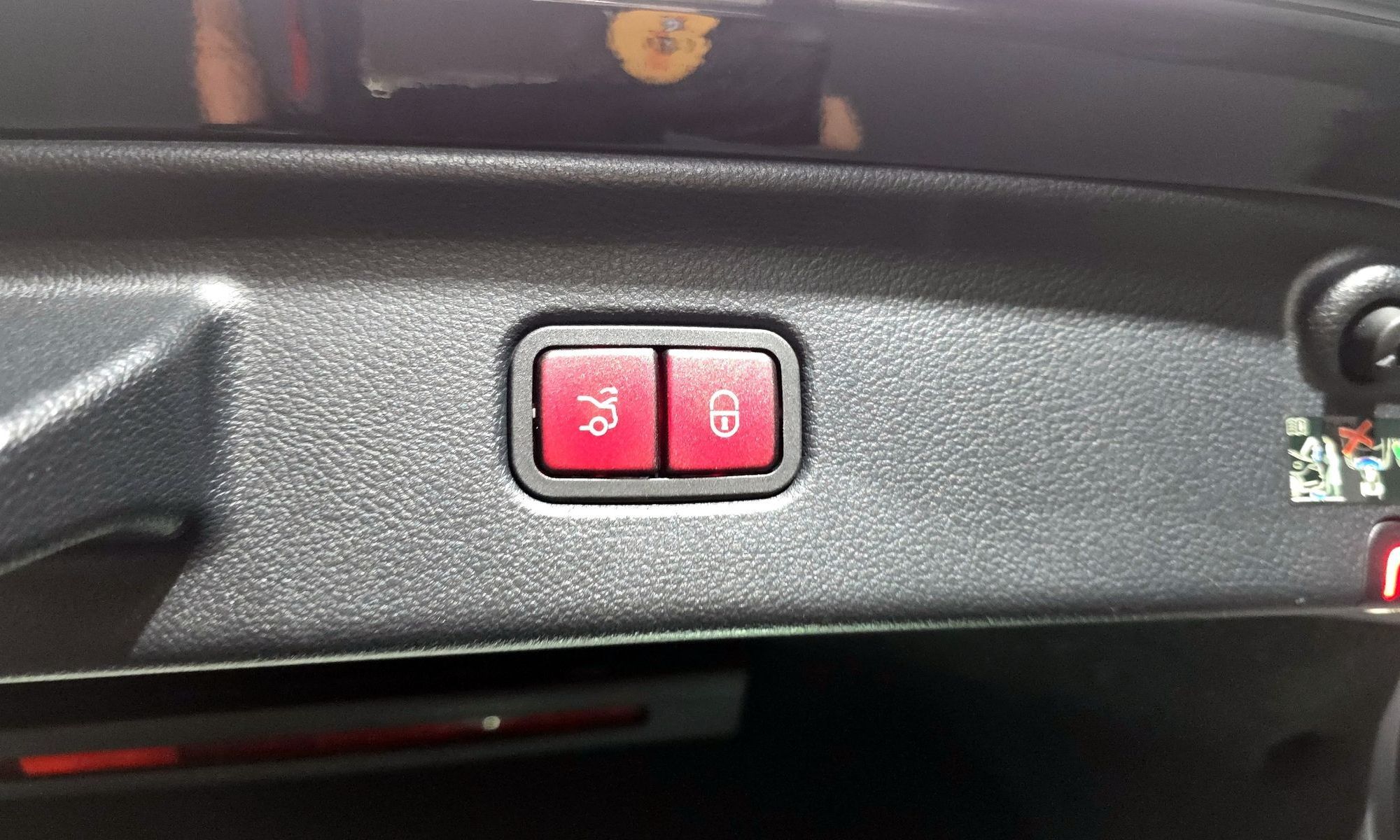 Image 19