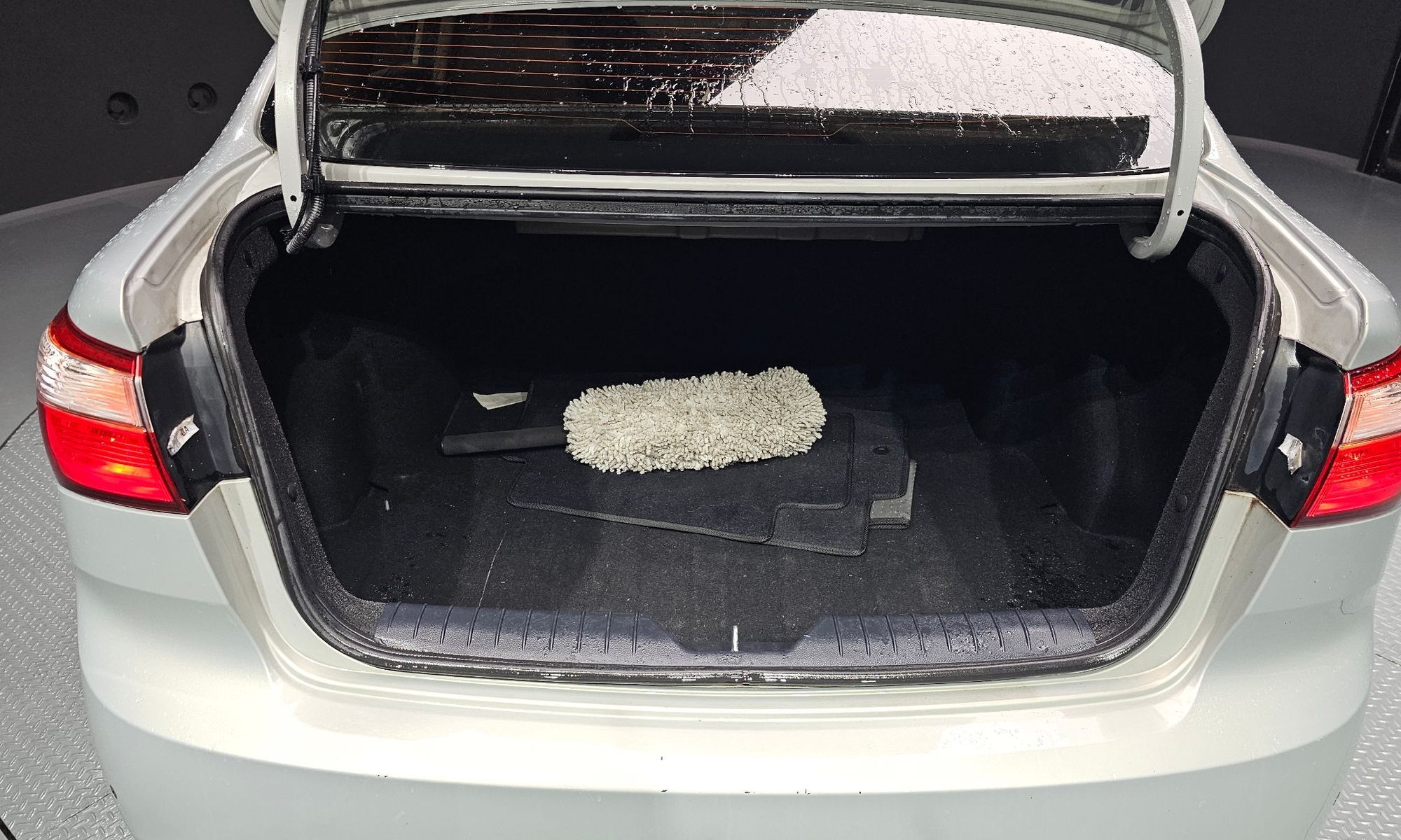 Image 19