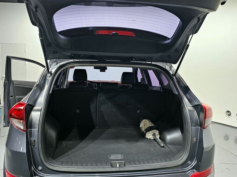Image 19