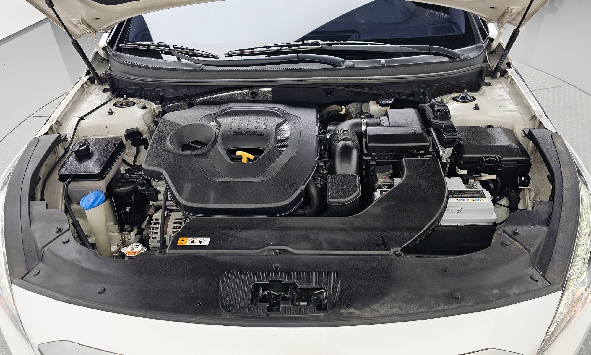 Image 5