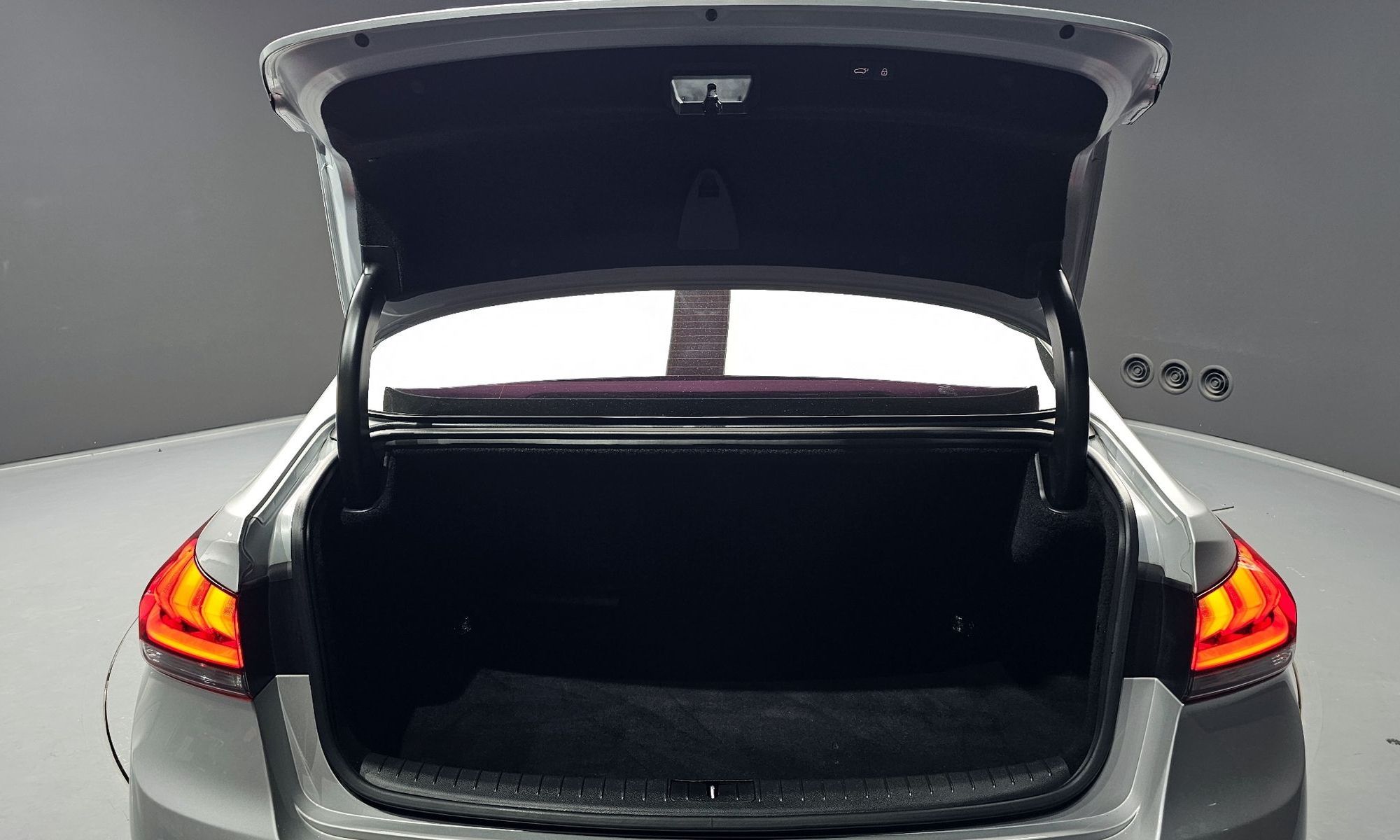 Image 19