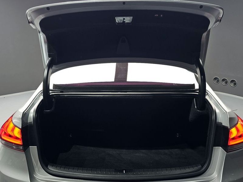 Image 19