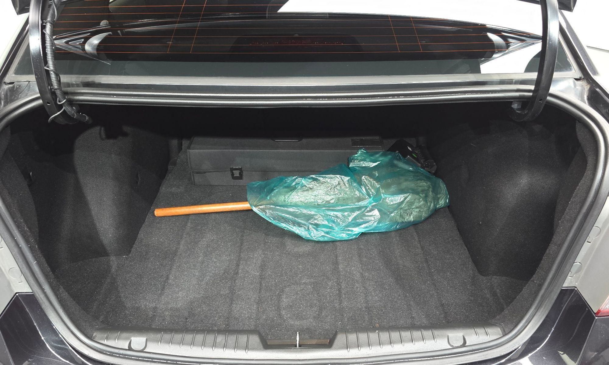 Image 19