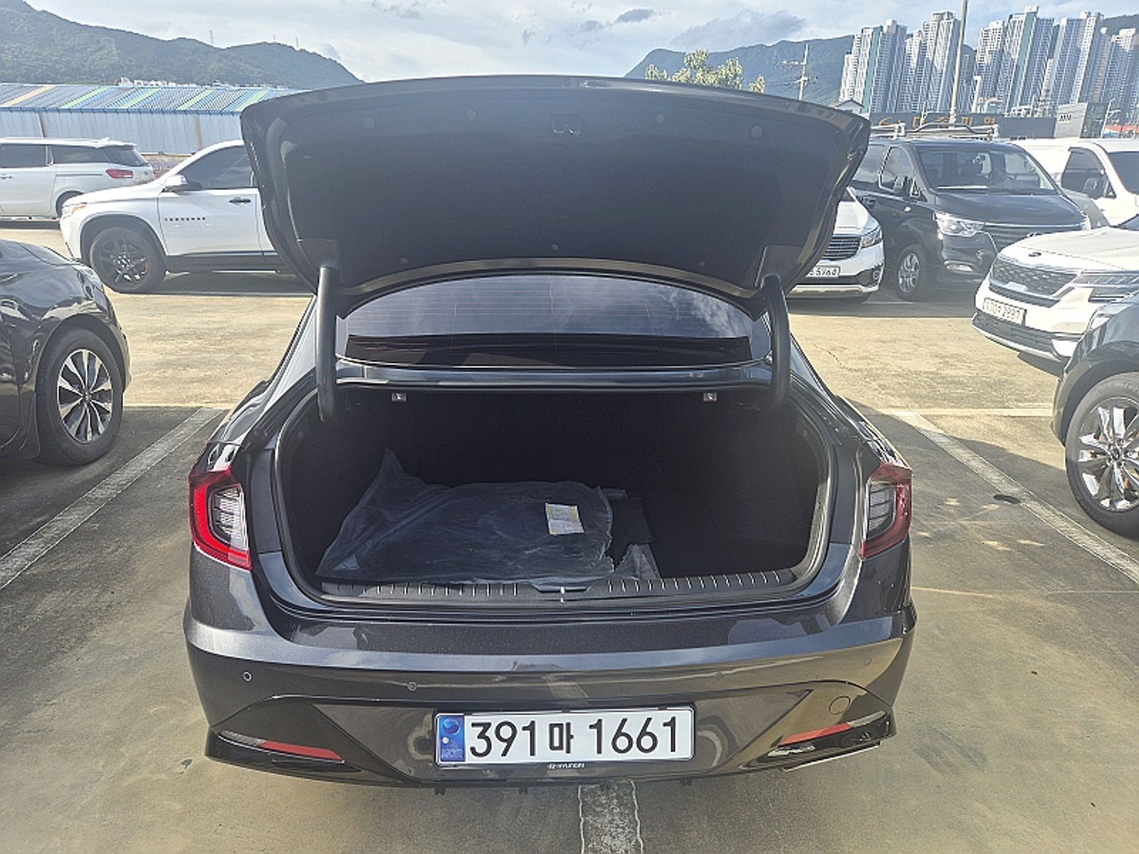 Image 12