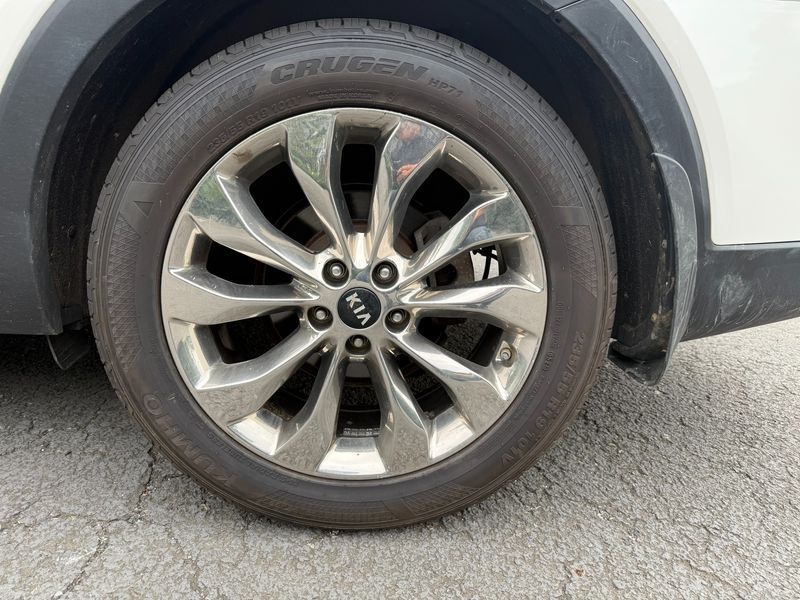 Image 8