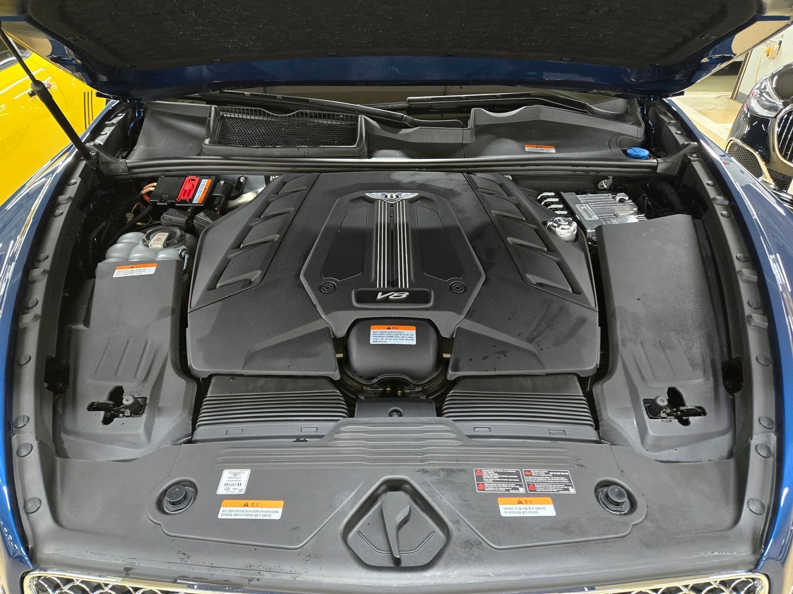 Image 12