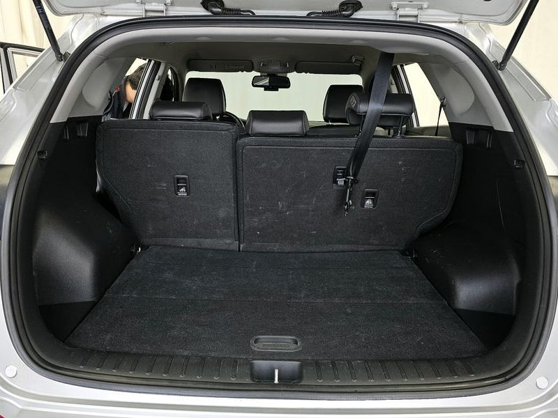 Image 19