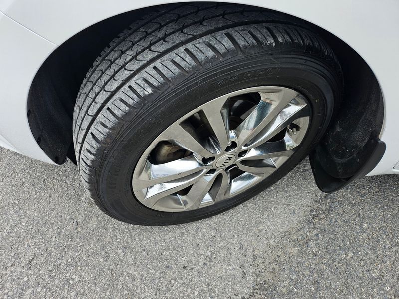 Image 7