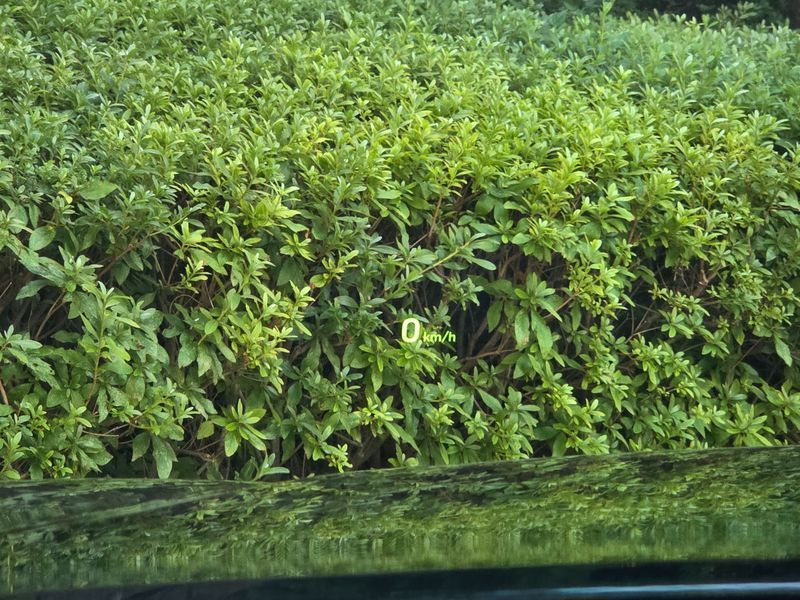 Image 17