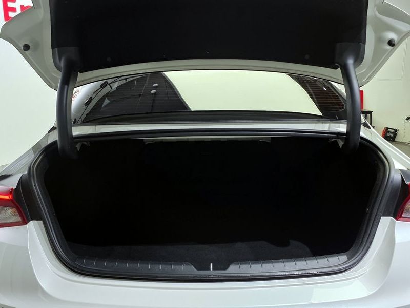 Image 19