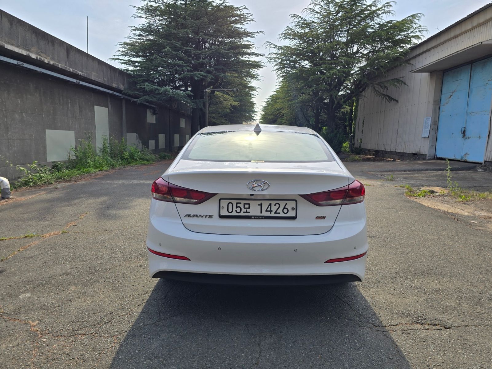 Image 4